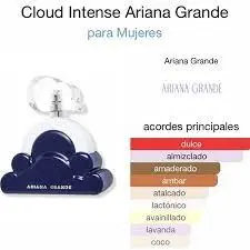 ARIANA GRANDE CLOUD INTENSE 100ML